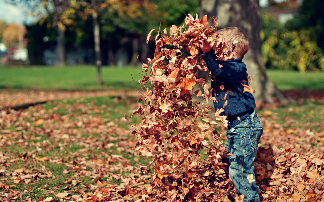 Family Fun in Clarens: Kid-Friendly Activities Near Clarens Rooiberg View